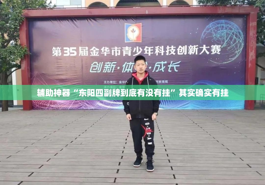 辅助神器“东阳四副牌到底有没有挂	”其实确实有挂