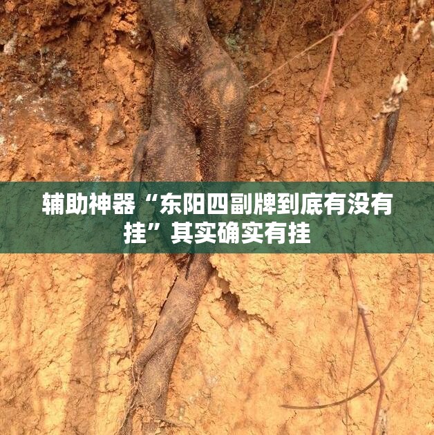 辅助神器“东阳四副牌到底有没有挂”其实确实有挂