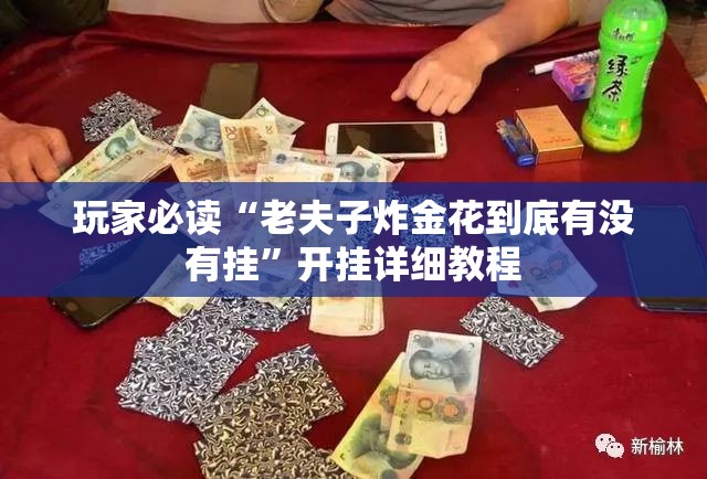 玩家必读“老夫子炸金花到底有没有挂”开挂详细教程