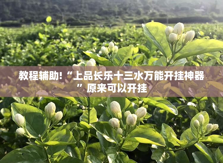 教程辅助!“上品长乐十三水万能开挂神器”原来可以开挂