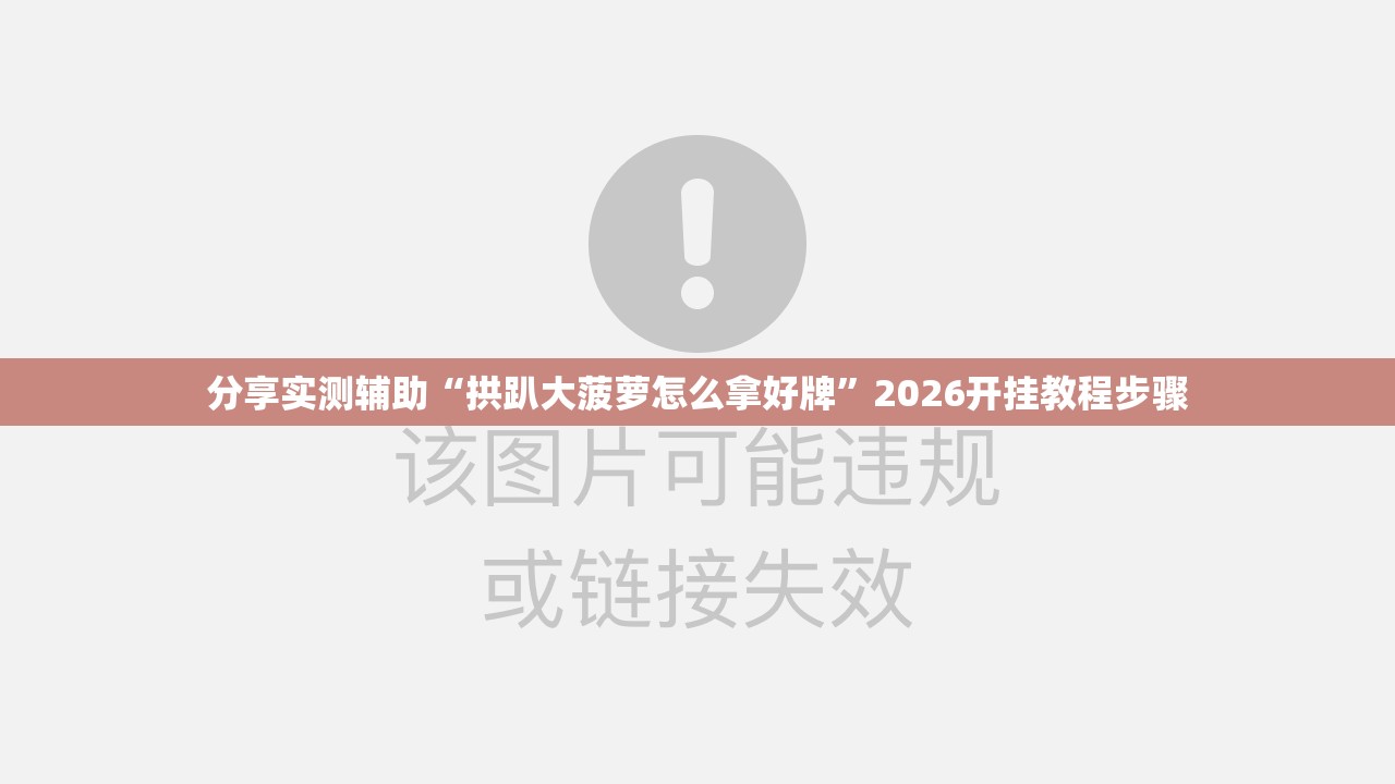 分享实测辅助“拱趴大菠萝怎么拿好牌”2026开挂教程步骤