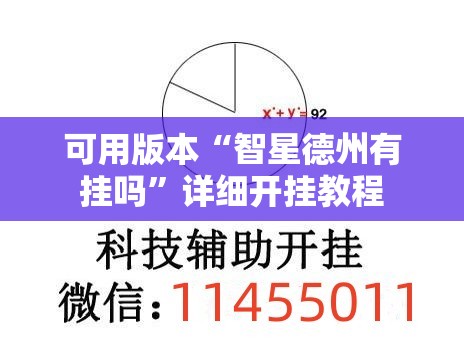 可用版本“智星德州有挂吗	”详细开挂教程