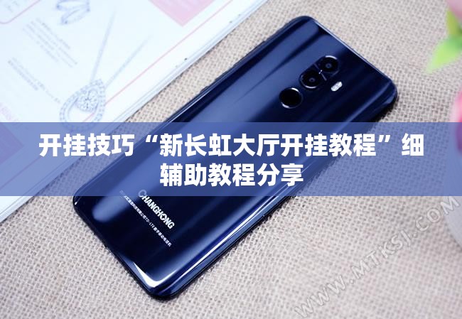 开挂技巧“新长虹大厅开挂教程”细辅助教程分享