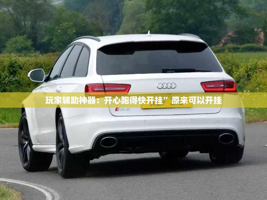 玩家辅助神器：开心跑得快开挂”原来可以开挂