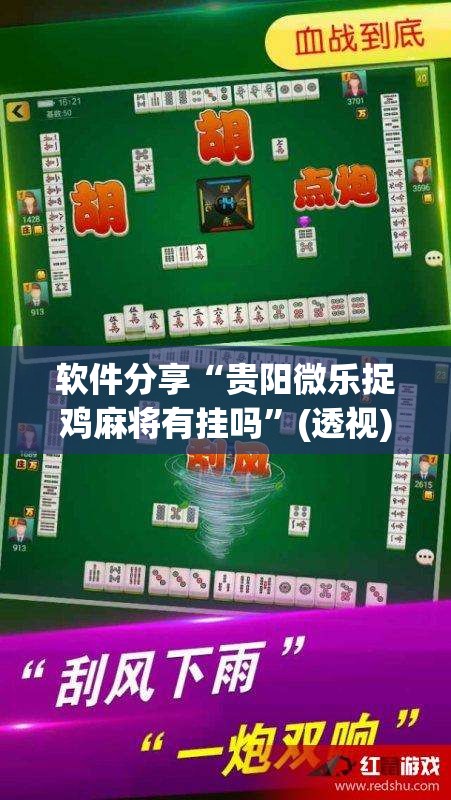软件分享“贵阳微乐捉鸡麻将有挂吗	”(透视)其实确实有挂