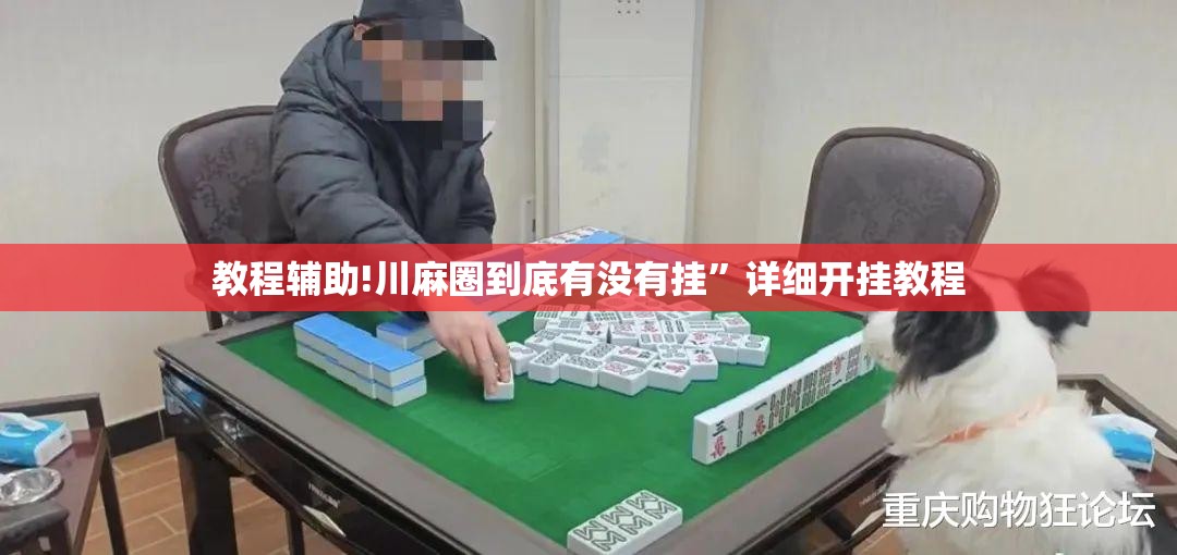 教程辅助!川麻圈到底有没有挂	”详细开挂教程