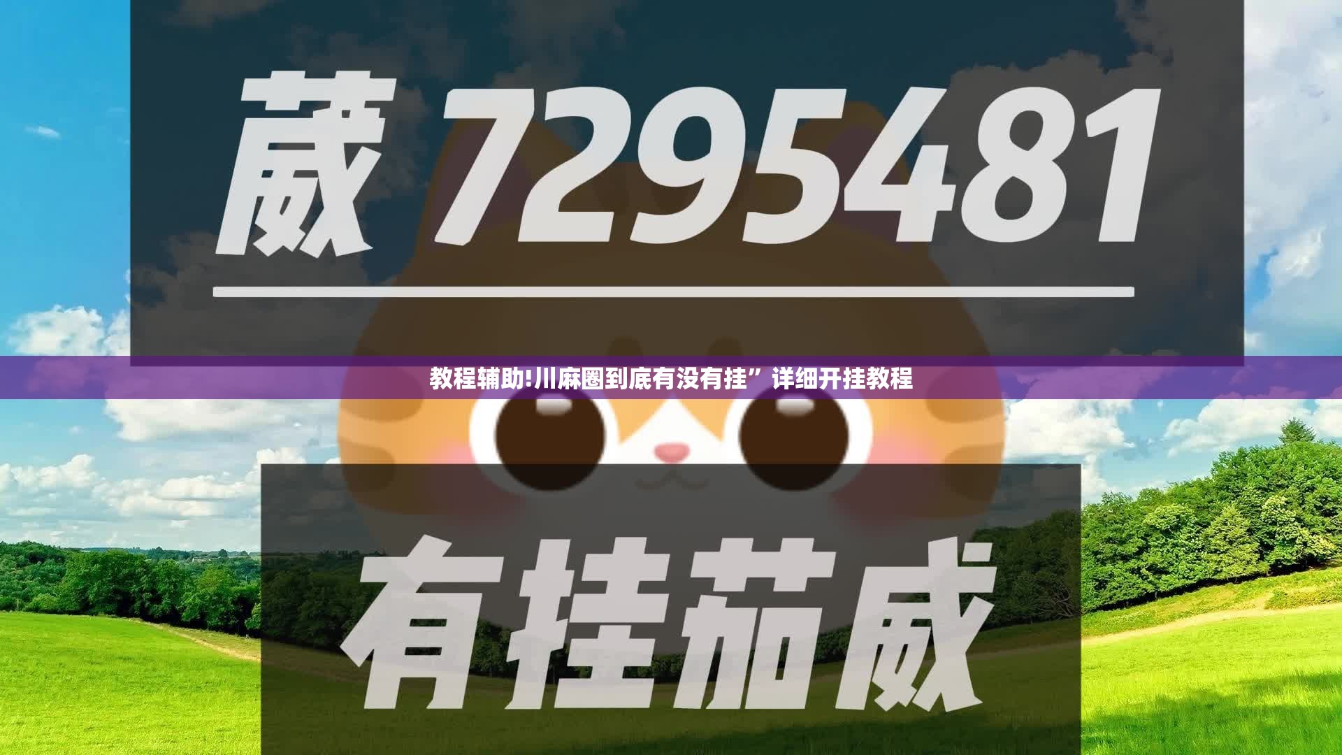 教程辅助!川麻圈到底有没有挂”详细开挂教程