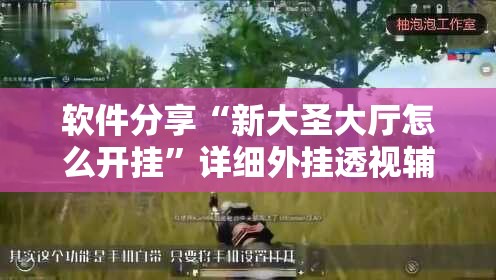 软件分享“新大圣大厅怎么开挂”详细外挂透视辅助软件教程