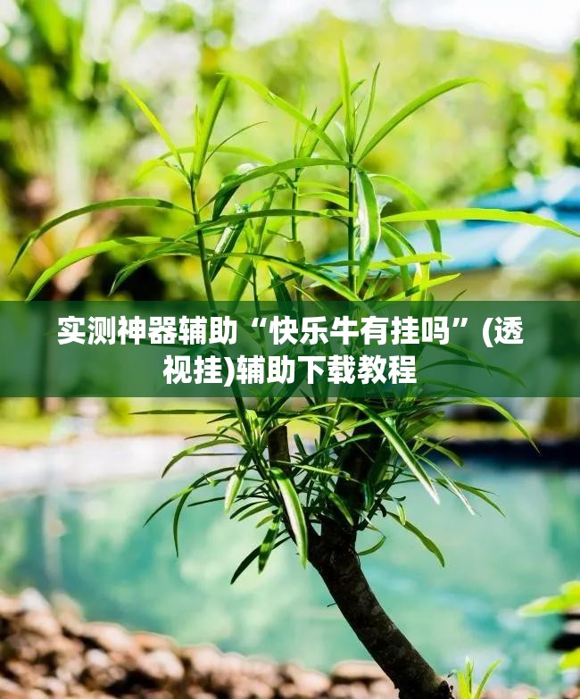 实测神器辅助“快乐牛有挂吗”(透视挂)辅助下载教程