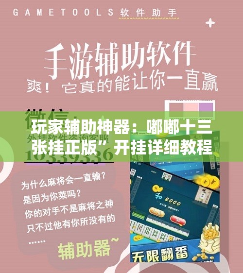 玩家辅助神器：嘟嘟十三张挂正版”开挂详细教程