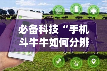 必备科技“手机斗牛牛如何分辨是不是有挂	”(透视)其实确实有挂