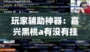 玩家辅助神器：嘉兴黑桃a有没有挂(透视)	”开挂辅助脚本+详细开挂安装教程