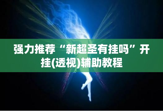 强力推荐“新超圣有挂吗”开挂(透视)辅助教程