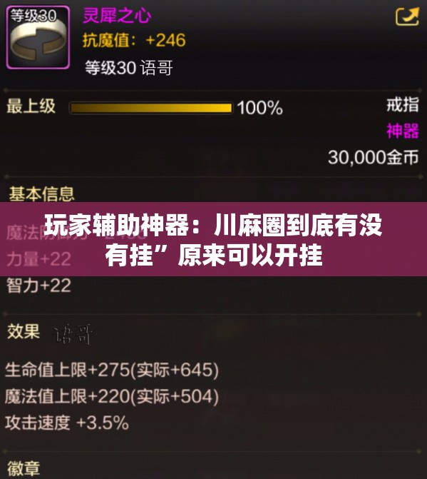 玩家辅助神器：川麻圈到底有没有挂”原来可以开挂
